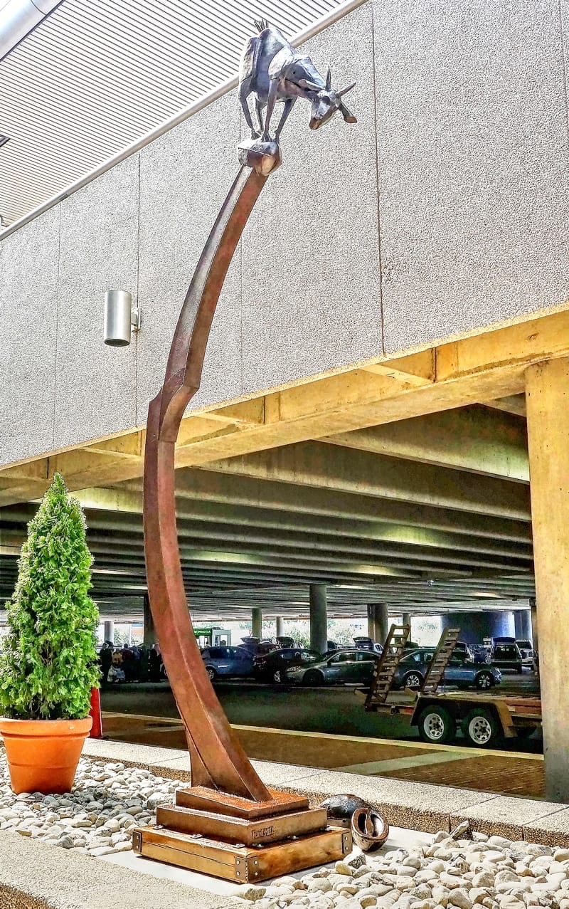 For No Apparent Reason