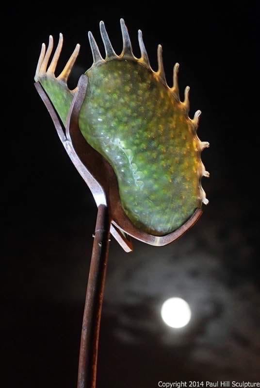 Southern Hospitality 2