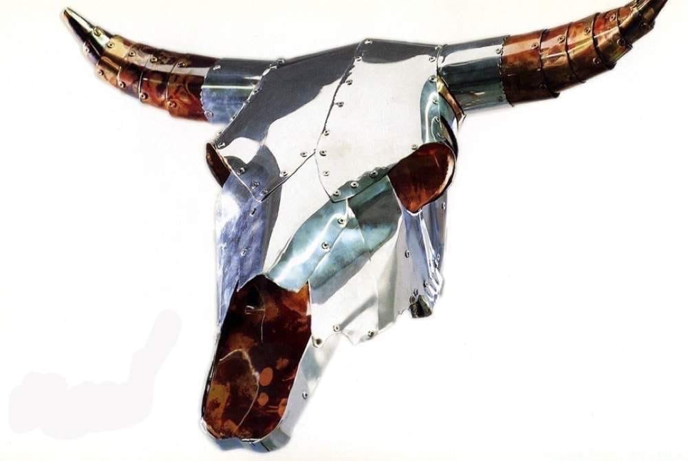 Steer Skull
